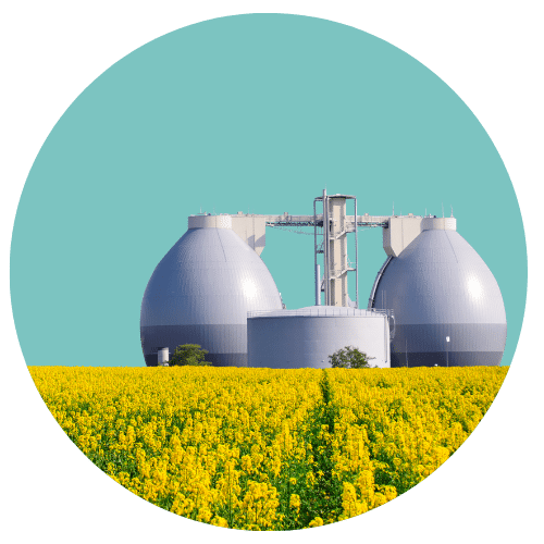 Biogas Jobs